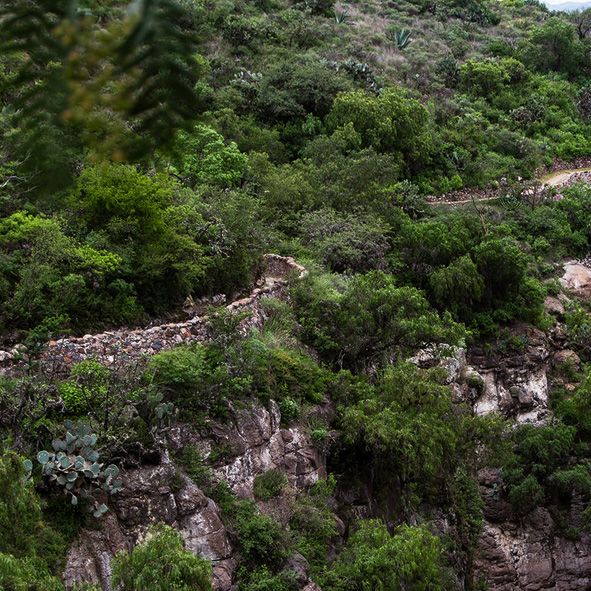 Explora el Charco del Ingenio